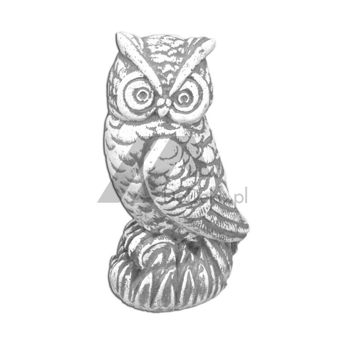 Little concrete owl